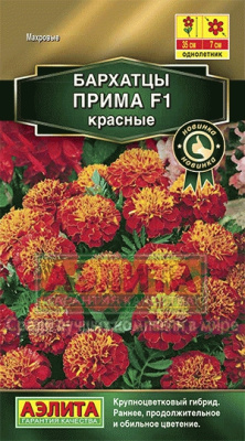 цБархатцы Прима красные откл.10шт