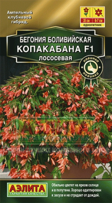 цБегония Копакабана лососевая 5шт