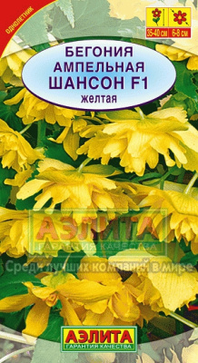 цБегония Шансон Желтая амп. 10шт.