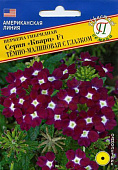 цВербена Кварц Темно-Малиновая с глазком 10 шт США