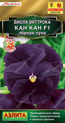 цВиола Кан-кан черная луна 7шт