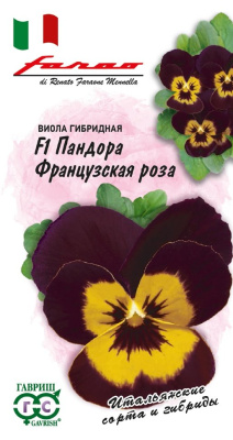 цВиола Пандора Французская роза 5шт