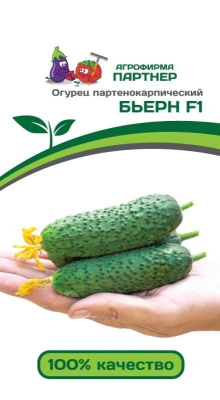 Огурец Бьерн 5шт