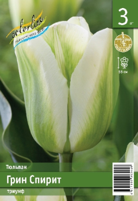 Тюльпан ЭКОНОМ-СЕРИЯ ГРИН СПИРИТ (3 шт)