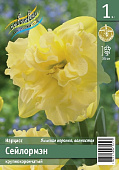 Нарцисс ЭКОНОМ-СЕРИЯ СЕЙЛОРМЭН (1 шт)