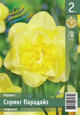 Нарцисс ЭКОНОМ-СЕРИЯ СПРИНГ ПАРАДАЙЗ (2 шт)
