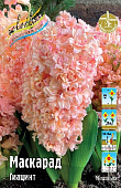 Гиацинт Маскарад (3 шт)