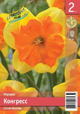 Нарцисс ЭКОНОМ-СЕРИЯ КОНГРЕСС (2 шт)