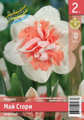 Нарцисс ЭКОНОМ-СЕРИЯ МАЙ СТОРИ (2 шт)