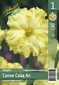 Нарцисс ЭКОНОМ-СЕРИЯ САННИ САЙД АП (1 шт)