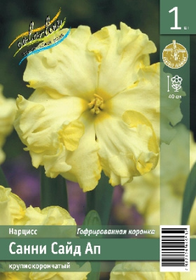Нарцисс ЭКОНОМ-СЕРИЯ САННИ САЙД АП (1 шт)