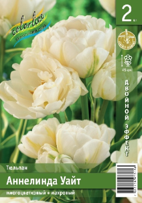Тюльпан ЭКОНОМ-СЕРИЯ АННЕЛИНДА УАЙТ (2 шт)