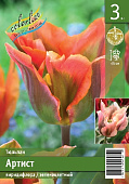 Тюльпан ЭКОНОМ-СЕРИЯ АРТИСТ (3 шт)