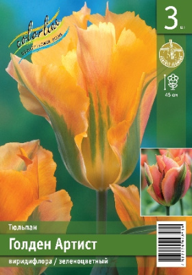 Тюльпан ЭКОНОМ-СЕРИЯ ГОЛДЕН АРТИСТ (3 шт)