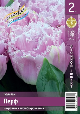 Тюльпан ЭКОНОМ-СЕРИЯ ПЕРФ (2 шт)