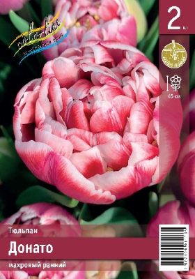 Тюльпан ЭКОНОМ-СЕРИЯ ДОНАТО (2 шт)