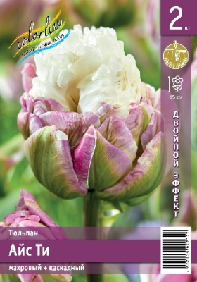 Тюльпан ЭКОНОМ-СЕРИЯ АЙС ТИ (2 шт)