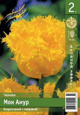 Тюльпан ЭКОНОМ-СЕРИЯ МОН АМУР (2 шт)
