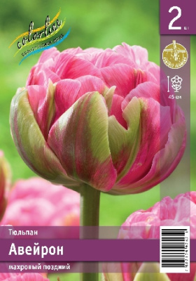 Тюльпан ЭКОНОМ-СЕРИЯ АВЕЙРОН (3 шт)