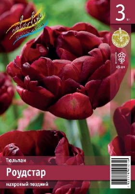 Тюльпан ЭКОНОМ-СЕРИЯ РОУДСТАР (3 шт)