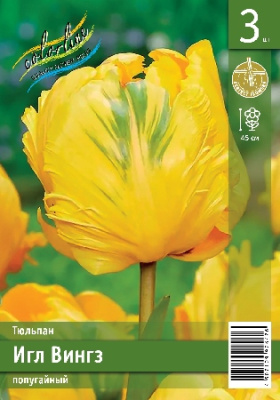 Тюльпан ЭКОНОМ-СЕРИЯ ИГЛ ВИНГЗ (3 шт)