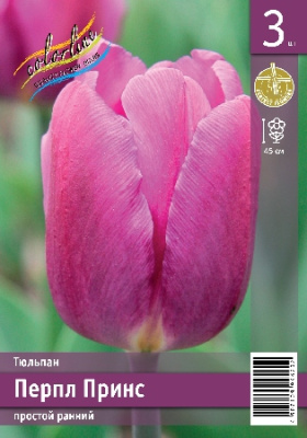Тюльпан ЭКОНОМ-СЕРИЯ ПЕРПЛ ПРИНС (3 шт)