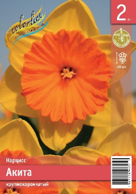Нарцисс ЭКОНОМ-СЕРИЯ АКИТА (2 шт)