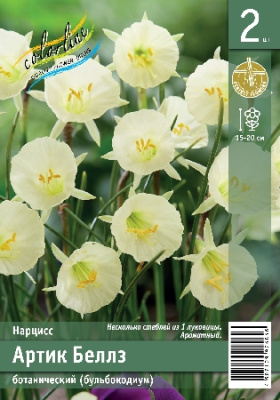 Нарцисс ЭКОНОМ-СЕРИЯ АРТИК БЕЛЛЗ (2 шт)
