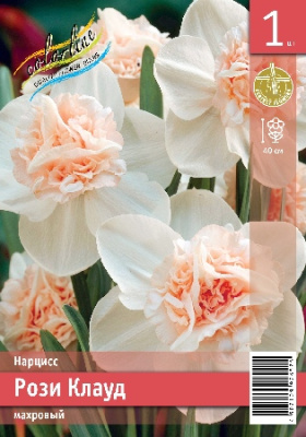 Нарцисс ЭКОНОМ-СЕРИЯ РОЗИ КЛАУД (1 шт)