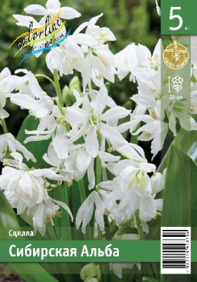 Сцилла ЭКОНОМ-СЕРИЯ СИБИРСКАЯ АЛЬБА (5 шт)