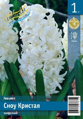 Гиацинт ЭКОНОМ-СЕРИЯ СНОУ КРИСТАЛ (1 шт)