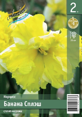 Нарцисс ЭКОНОМ-СЕРИЯ БАНАНА СПЛЭШ (2 шт)