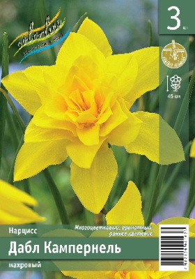 Нарцисс ЭКОНОМ-СЕРИЯ ДАБЛ КАМПЕРНЕЛЬ (3 шт)