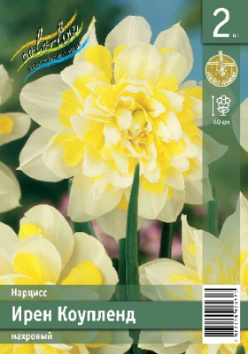 Нарцисс ЭКОНОМ-СЕРИЯ ИРЕН КОУПЛЕНД (2 шт)