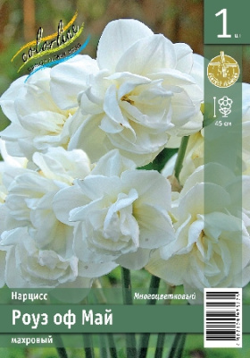 Нарцисс ЭКОНОМ-СЕРИЯ РОУЗ ОФ МАЙ (1 шт)
