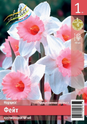 Нарцисс ЭКОНОМ-СЕРИЯ ФЕЙТ (1 шт)