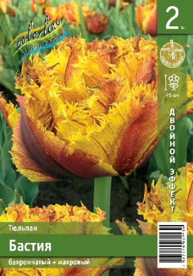 Тюльпан ЭКОНОМ-СЕРИЯ БАСТИЯ (2 шт)