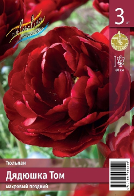Тюльпан ЭКОНОМ-СЕРИЯ ДЯДЮШКА ТОМ (3 шт)
