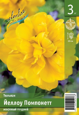 Тюльпан ЭКОНОМ-СЕРИЯ ЙЕЛЛОУ ПОМПОНЕТТ (3 шт)