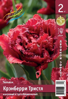 Тюльпан ЭКОНОМ-СЕРИЯ КРЭНБЕРРИ ТРИСТЛ (2 шт)