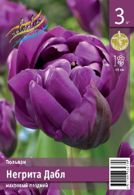Тюльпан ЭКОНОМ-СЕРИЯ НЕГРИТА ДАБЛ (3 шт)