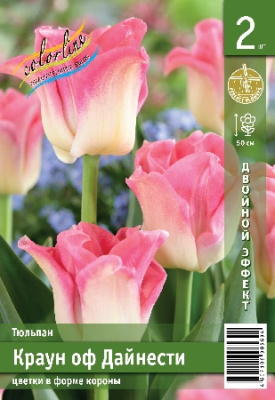 Тюльпан ЭКОНОМ-СЕРИЯ КРАУН ОФ ДАЙНЕСТИ (2 шт)