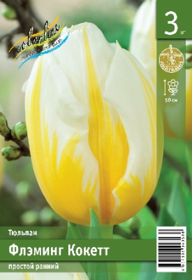 Тюльпан ЭКОНОМ-СЕРИЯ ФЛЭМИНГ КОКЕТТ (3 шт)