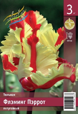 Тюльпан ЭКОНОМ-СЕРИЯ ФЛЭМИНГ ПЭРРОТ (3 шт)