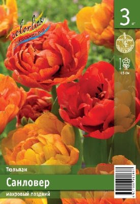 Тюльпан ЭКОНОМ-СЕРИЯ САНЛОВЕР (3 шт)