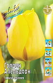 Тюльпан Голден Апельдорн 12/+ (8 шт)