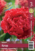 Тюльпан ЭКОНОМ-СЕРИЯ КАТАР (3 шт)