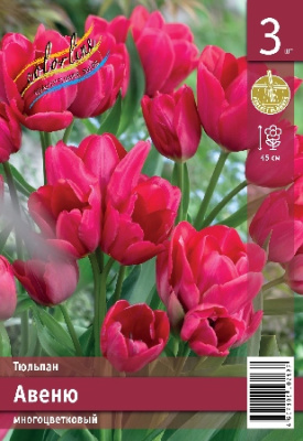 Тюльпан ЭКОНОМ-СЕРИЯ АВЕНЮ (3 шт)