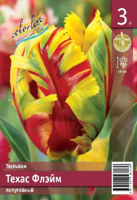 Тюльпан ЭКОНОМ-СЕРИЯ ТЕХАС ФЛЭЙМ (3 шт)