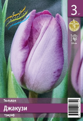 Тюльпан ЭКОНОМ-СЕРИЯ ДЖАКУЗИ (3 шт)